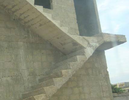 1780748_555392114567836_831900447_n